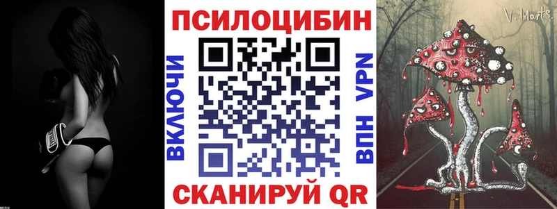 KRAKEN ТОР  Лабытнанги  Псилоцибиновые грибы ЛСД 
