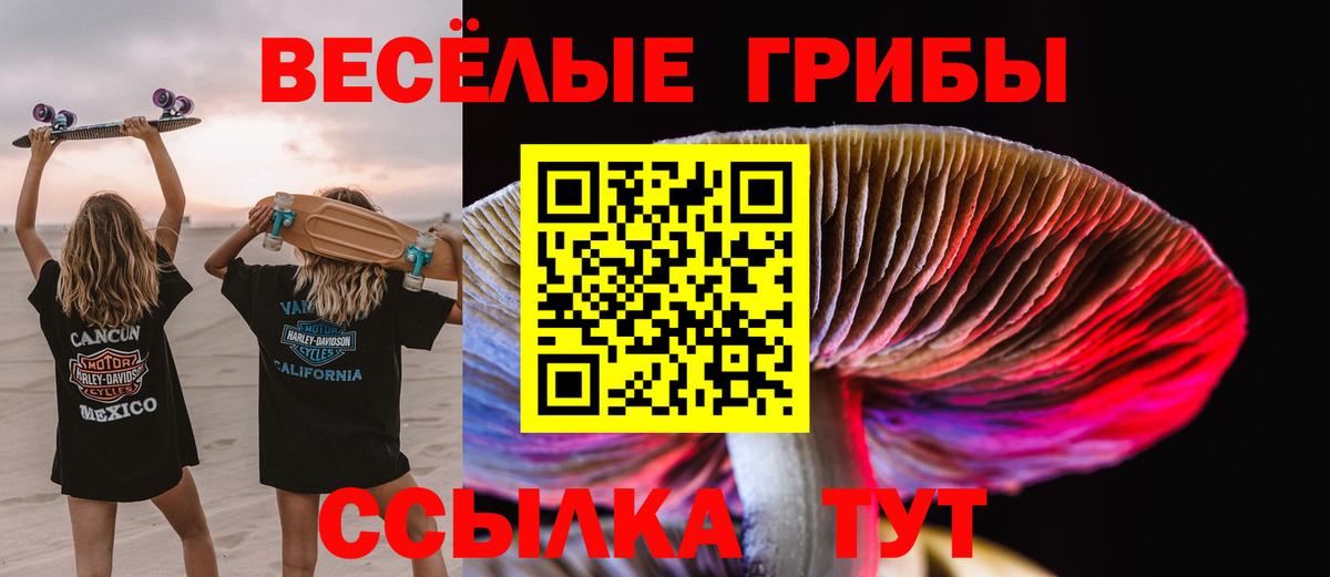 Псилоцибиновые грибы MAGIC MUSHROOMS Лабытнанги